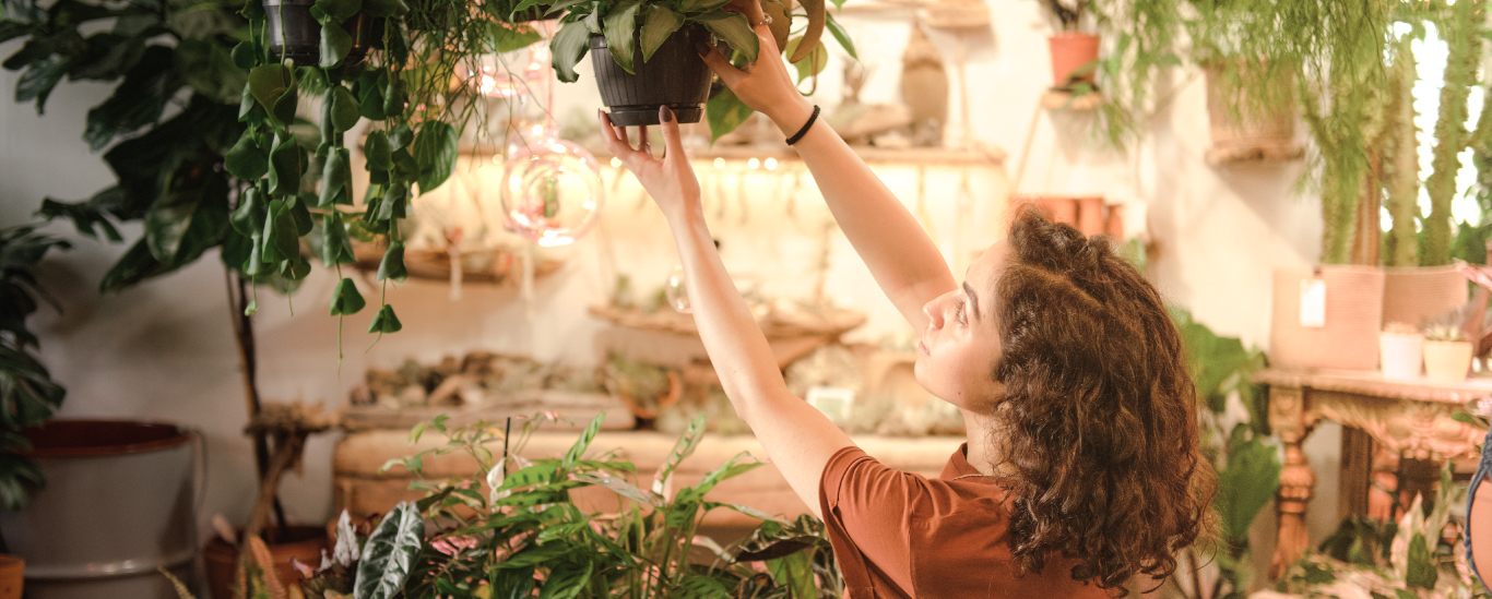 შენი ბიზნესისთვის