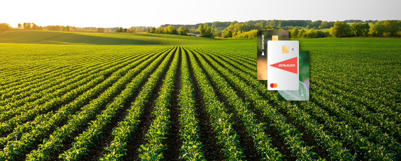 შენი შესაძლებლობების ბანკი